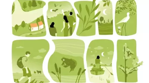 [EVENEMENT REPORTÉ EN SEPTEMBRE 2026] ABC de la Biodiversité - Sortie Nature